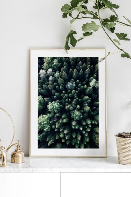 Tek Parça Ahşap Çerçeveli Poster Tablo - TEKHAMCERCEVE10