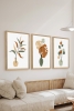 3 Parça Ahşap Çerçeve Görünümlü Mukavva Poster Tablo Seti - Set 94